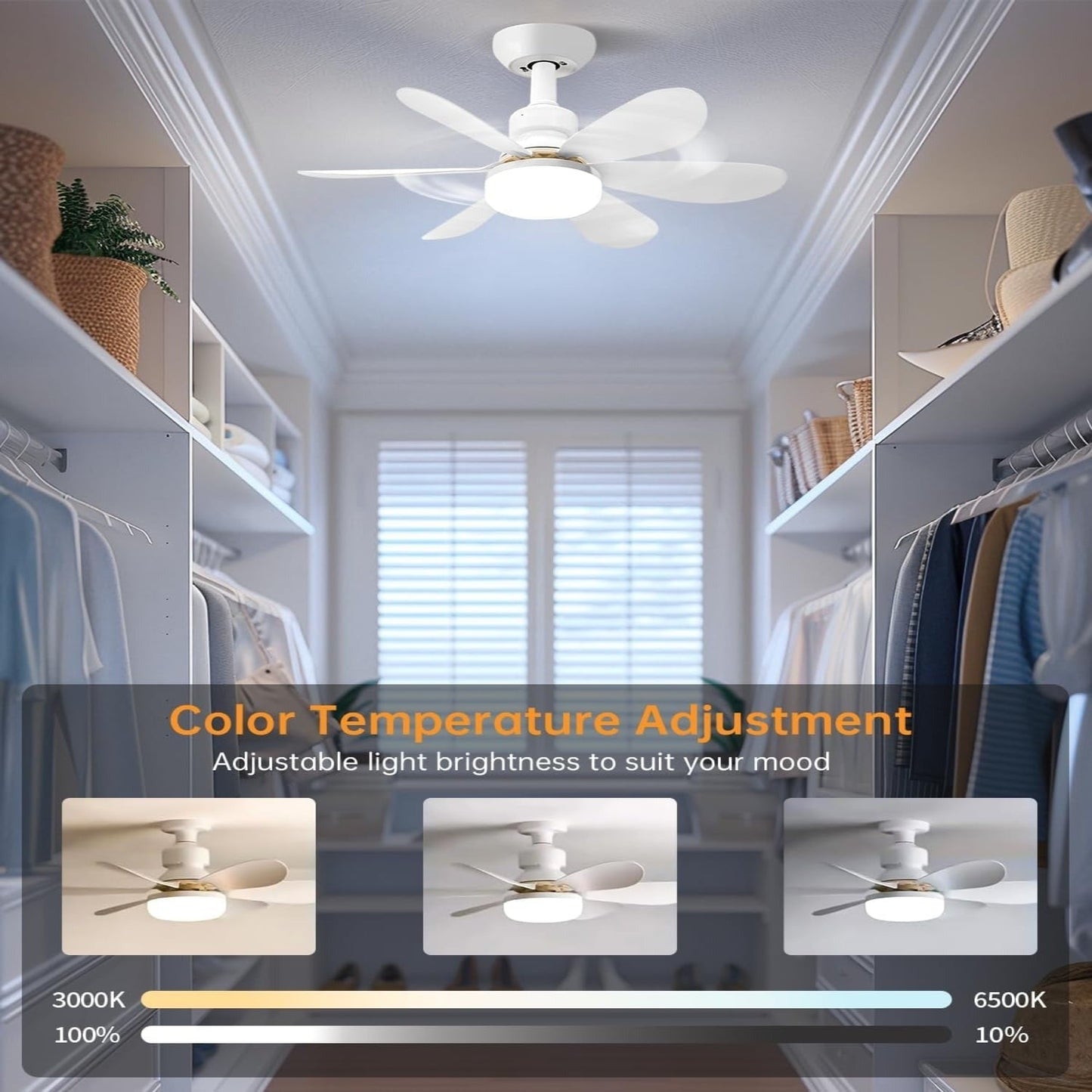 Small Socket Fan Light with Remote Control